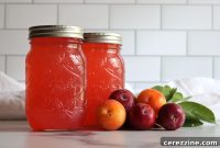 Bottled Plum Lemonade Essence