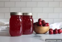 Tart Crabapple Elixir