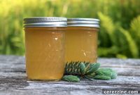 Wild Spruce Bud Preserve