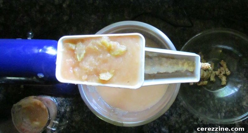 How to Make Applesauce with a Food Mill, showcasing the efficiency of processing apples for canning