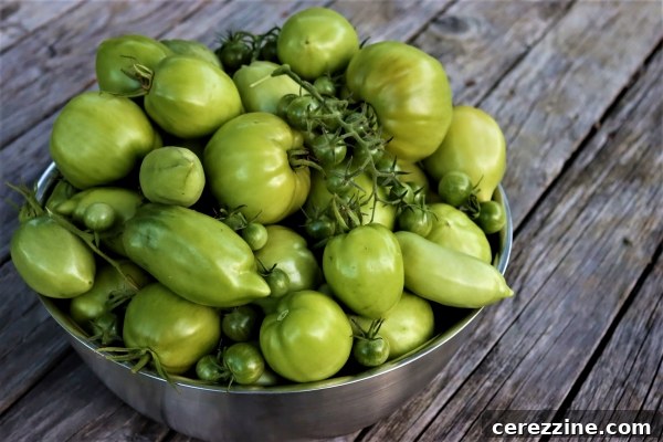 Heirloom Green Tomato Jam 3 Green Tomato Recipes