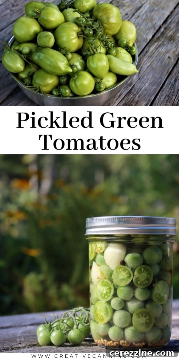 Selection of canned goods, including pickled green tomatoes