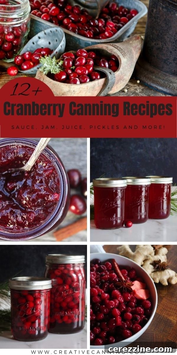 Over a Dozen Cranberry Canning Recipes 11 A collection of various home-canned cranberry products, neatly arranged in jars