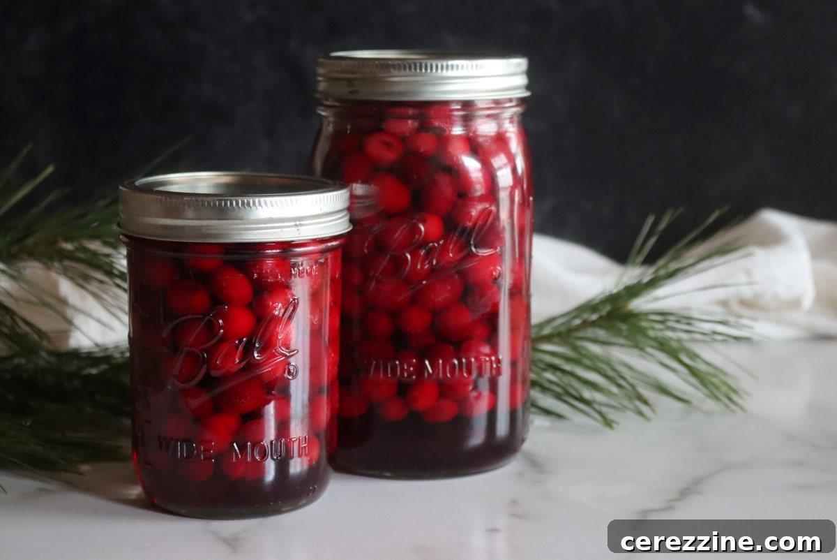 Over a Dozen Cranberry Canning Recipes 3 Jars of freshly canned whole cranberries, gleaming on a shelf