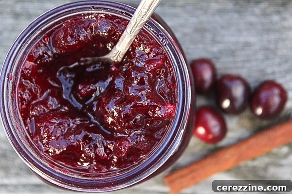 Over a Dozen Cranberry Canning Recipes 5 Freshly made cranberry sauce in a jar, ready for canning