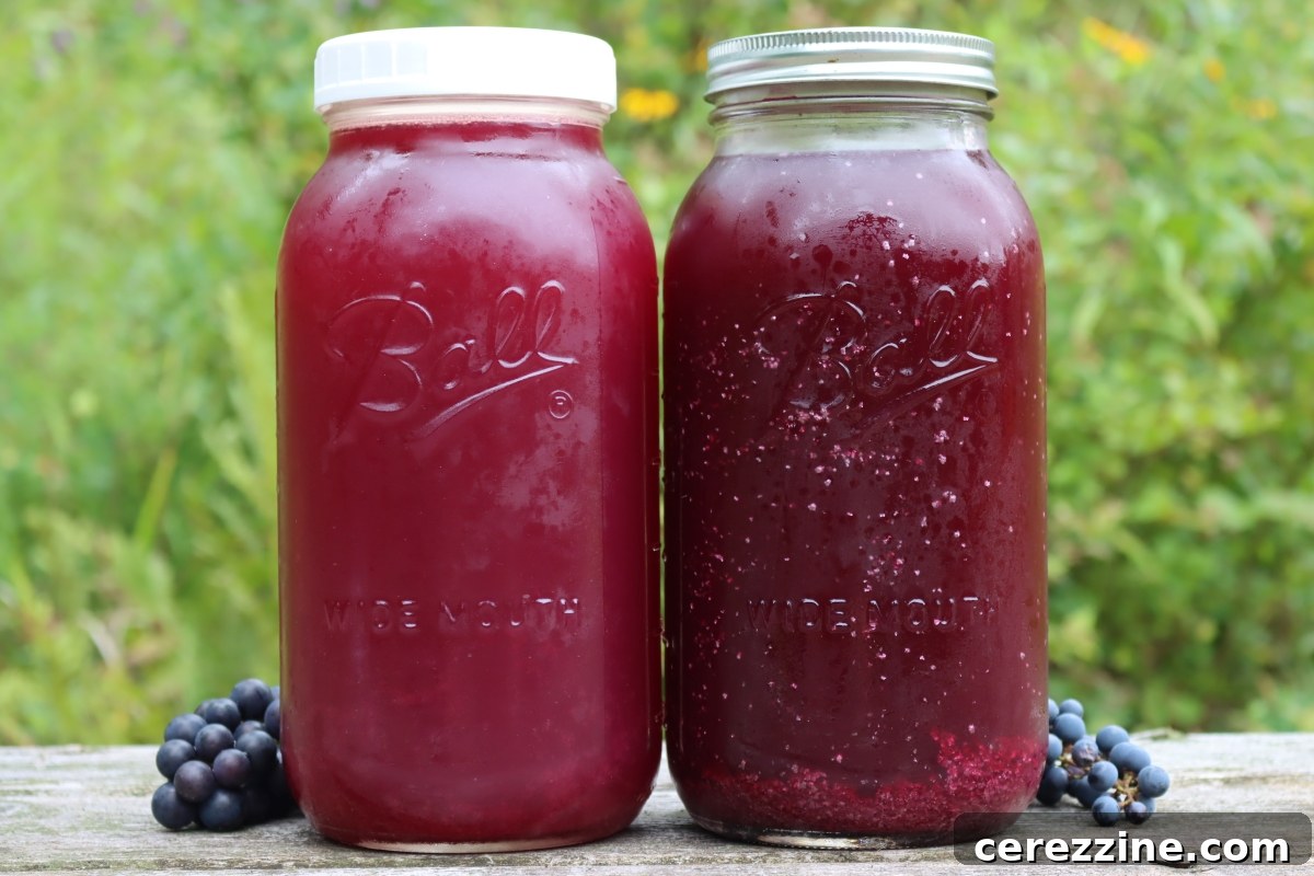 Close-up comparison showing accumulated tartrate crystals in wild grape juice versus minimal crystals in cultivated grape juice