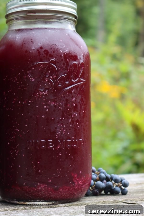 Detailed shot of pure tartrate crystals, successfully filtered out of wild grape juice