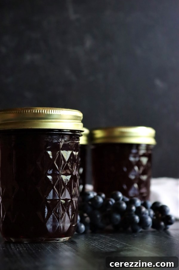 Several jars of freshly made wild grape jelly on a rustic wooden surface