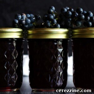 Small jar of homemade wild grape jelly with a rustic label
