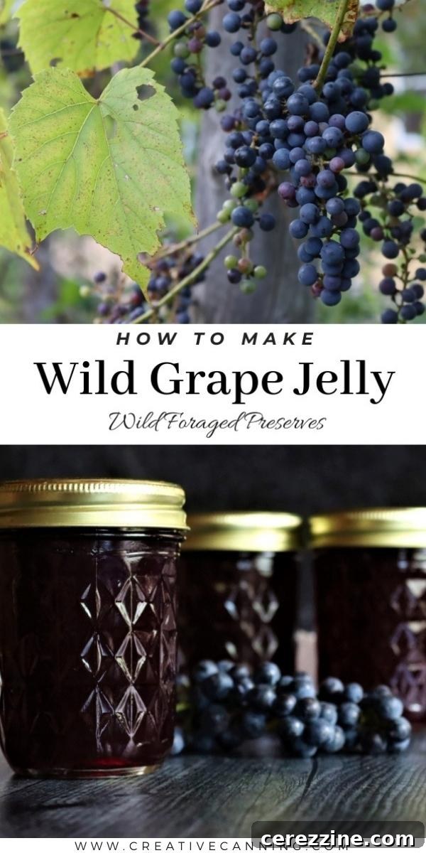 A charming collection of homemade wild grape jelly jars, perfectly sealed and labeled, on a wooden surface