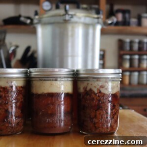 Canned Ground Beef
