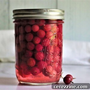 Canning Gooseberries