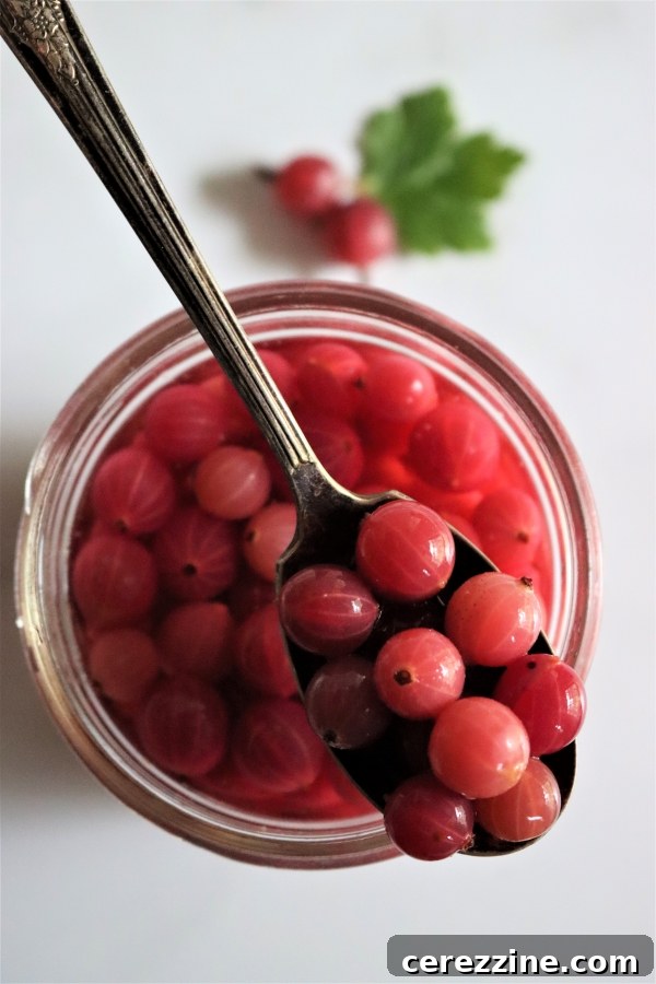 Canning Gooseberries Open Jar