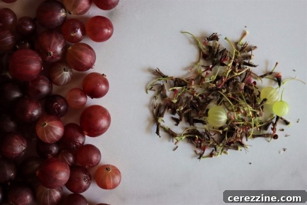 Gooseberry Tops and Tails