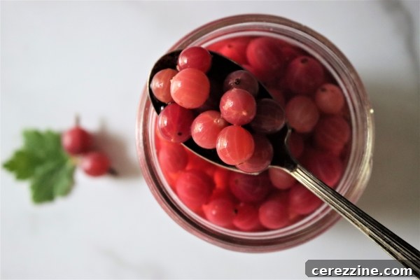 Canning Gooseberries Open Jar