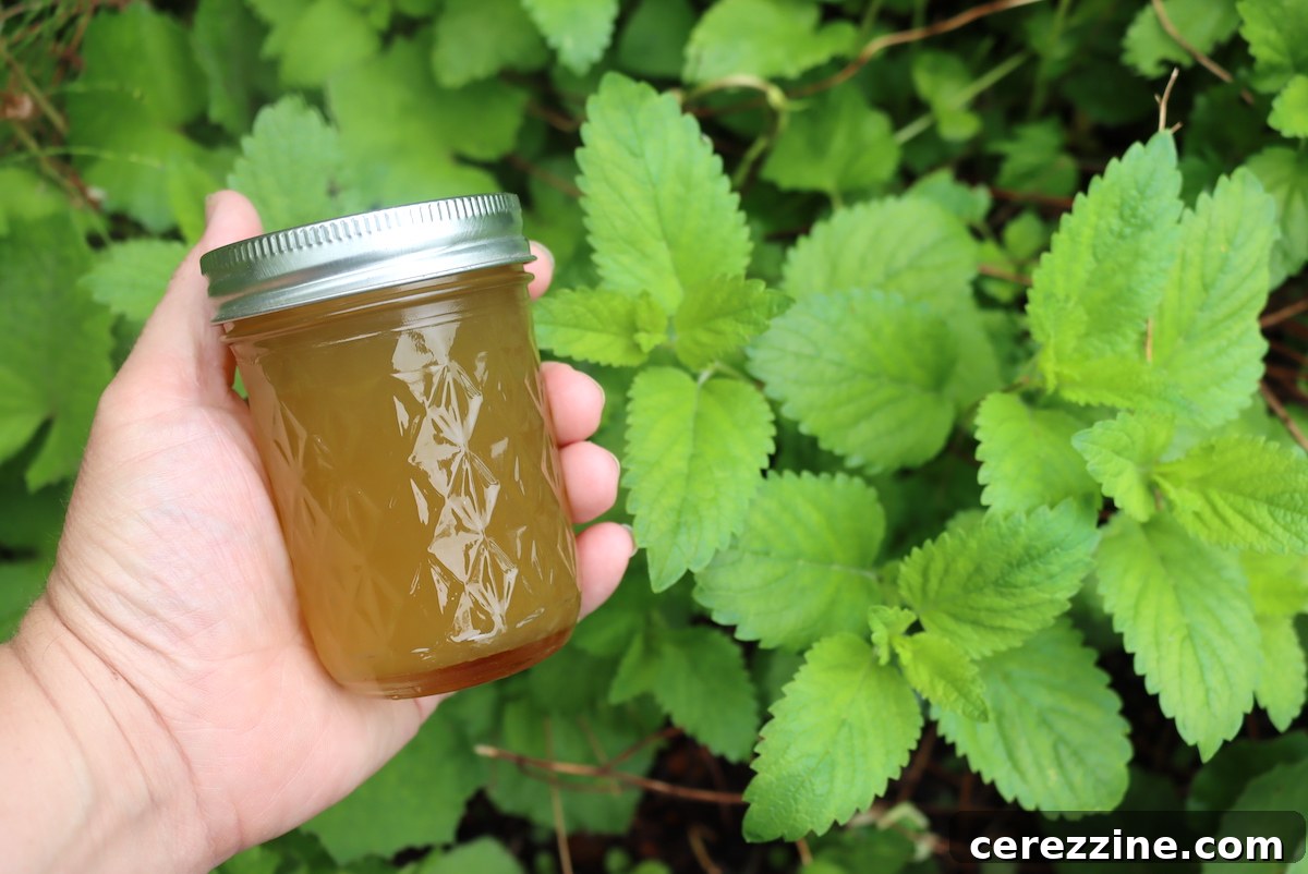 Sweet Lemon Balm Jelly - Refreshing and Delicious Spread