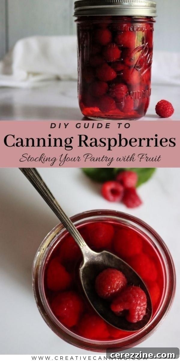 Capturing Summer Raspberries 10 Canning Raspberries