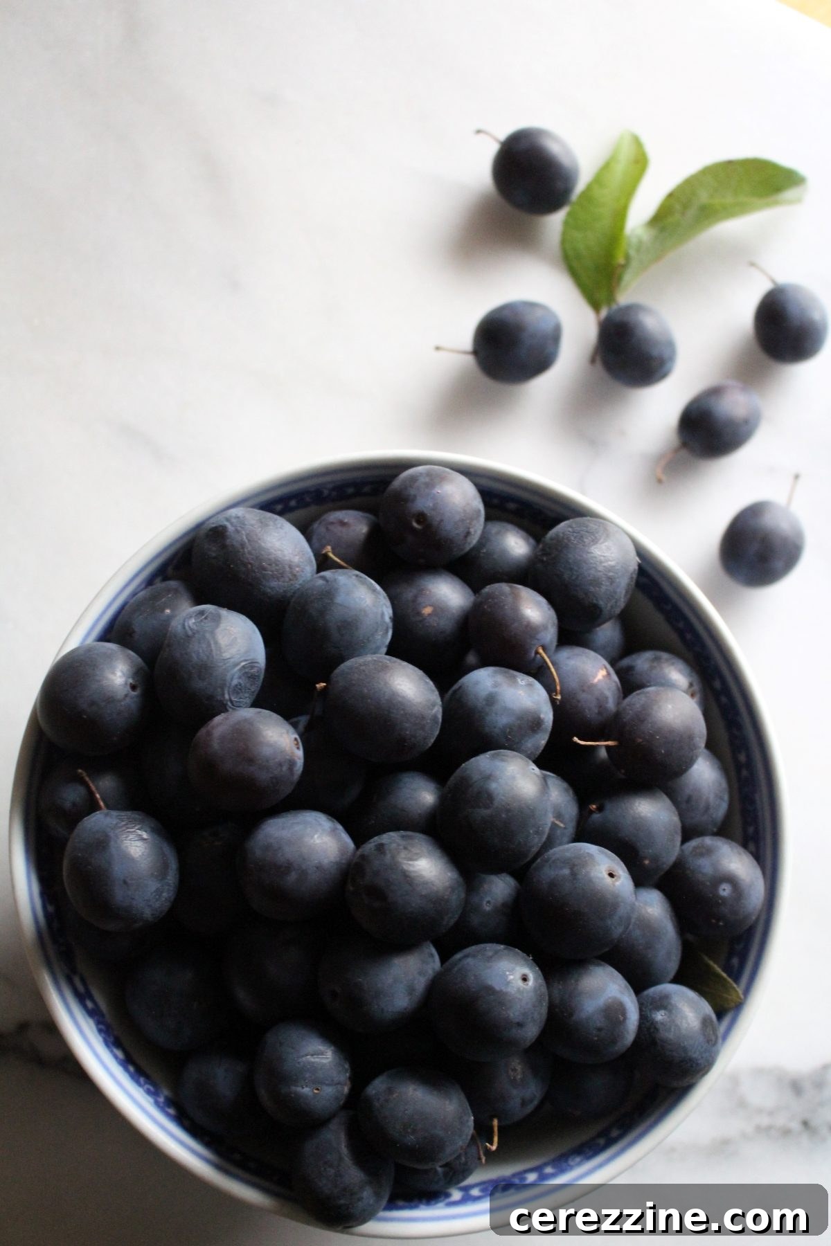 Freshly harvested damson plums gathered in a rustic bowl, ready for jam making.