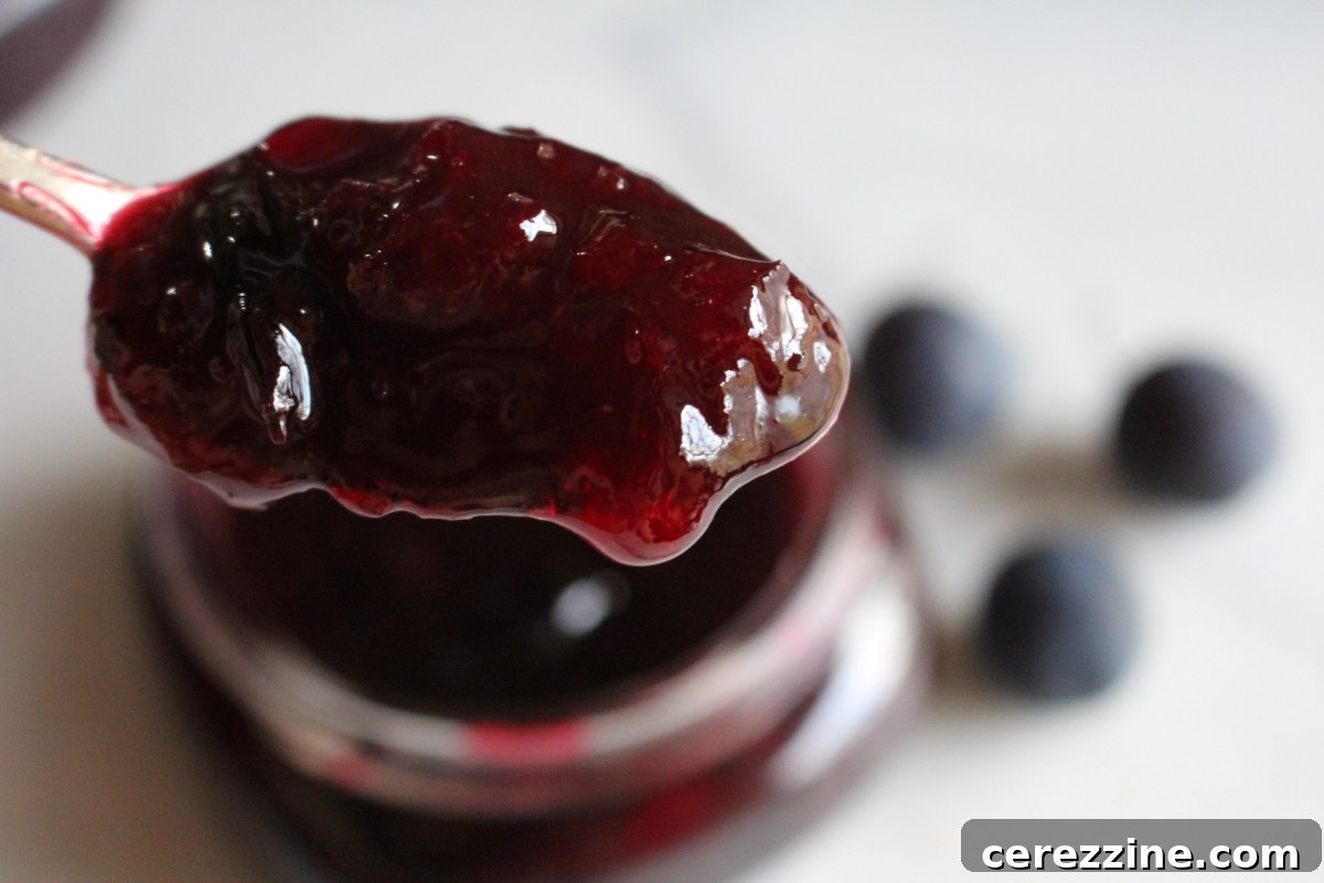 Two jars of freshly made damson jam, showing the vibrant color and delicious texture.