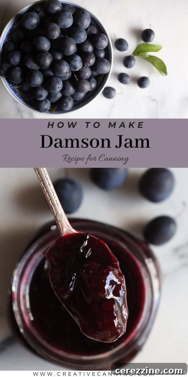 A beautifully composed flat lay image showcasing jars of homemade damson jam, fresh damson plums, and a kitchen towel, enticing viewers to learn 'How to Make Damson Jam'.