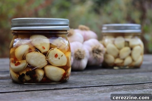 Fifty Varied Pickle Recipes From Asparagus To Zucchini 16 A jar filled with peeled pickled garlic cloves.