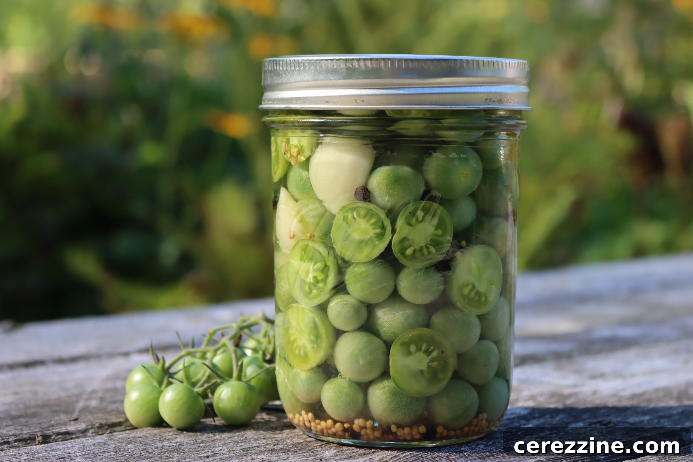 Fifty Varied Pickle Recipes From Asparagus To Zucchini 27 Glass jars filled with whole pickled cherry tomatoes.