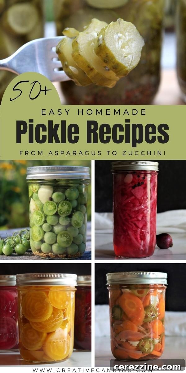 Fifty Varied Pickle Recipes From Asparagus To Zucchini 30 A beautifully arranged selection of various pickled vegetables and fruits in small dishes, showcasing the colorful diversity of pickling.