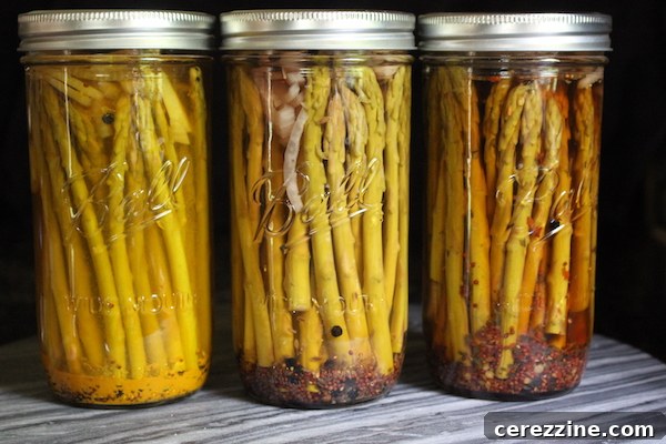 Fifty Varied Pickle Recipes From Asparagus To Zucchini 5 Glass jars filled with vibrant green pickled asparagus spears.