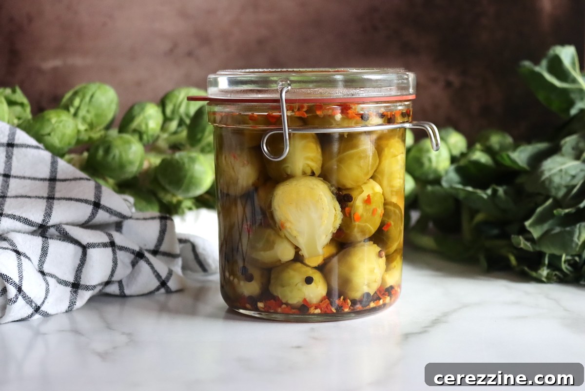 Fifty Varied Pickle Recipes From Asparagus To Zucchini 8 A glass jar filled with whole pickled Brussels sprouts in a clear brine.