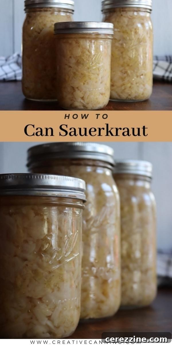 The Art of Jarring Sauerkraut 9 How to Can Sauerkraut