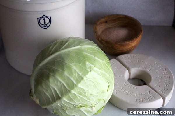 The Art of Jarring Sauerkraut 4 Ingredients for Sauerkraut