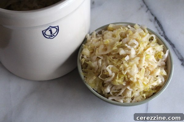 The Art of Jarring Sauerkraut 6 Sauerkraut in a crock