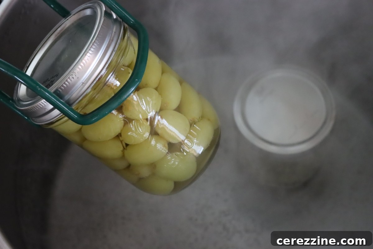 Water Bath Canning Grapes for long-term storage