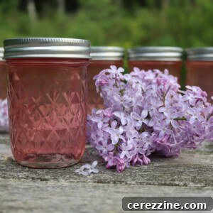 Lilac Jelly