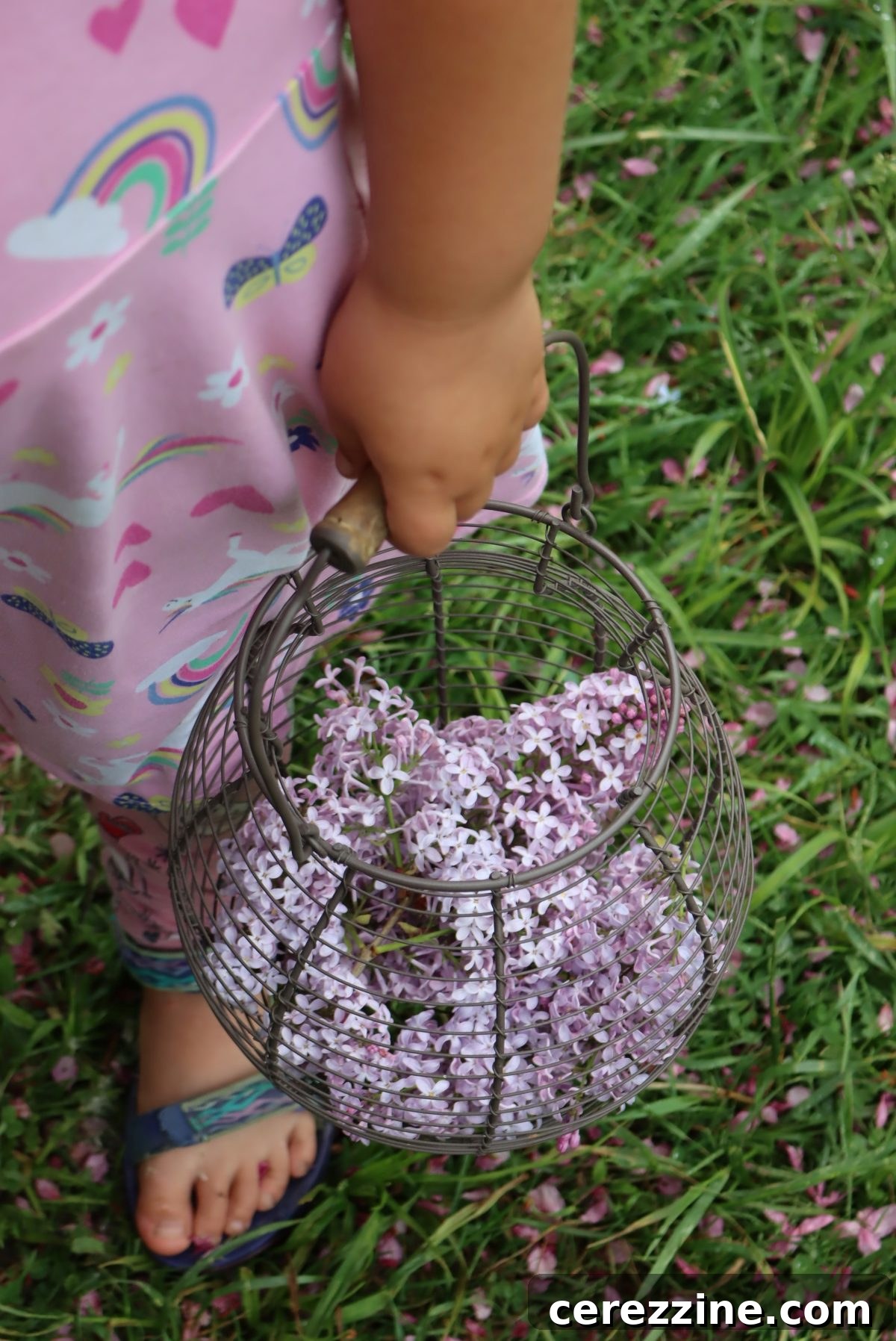 A young girl happily holding a basket overflowing with fresh lilac blossoms, ready for making jelly.