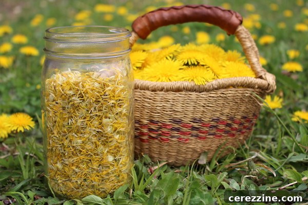 Hands carefully separating yellow dandelion petals from green parts for jelly making.