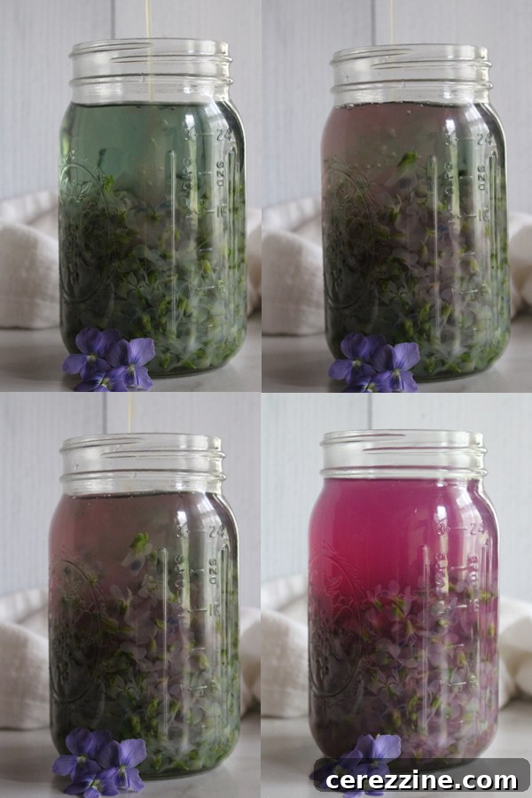 A sequence of images showing violet tea changing color from blue-green to vibrant pink-purple with the addition of lemon juice.