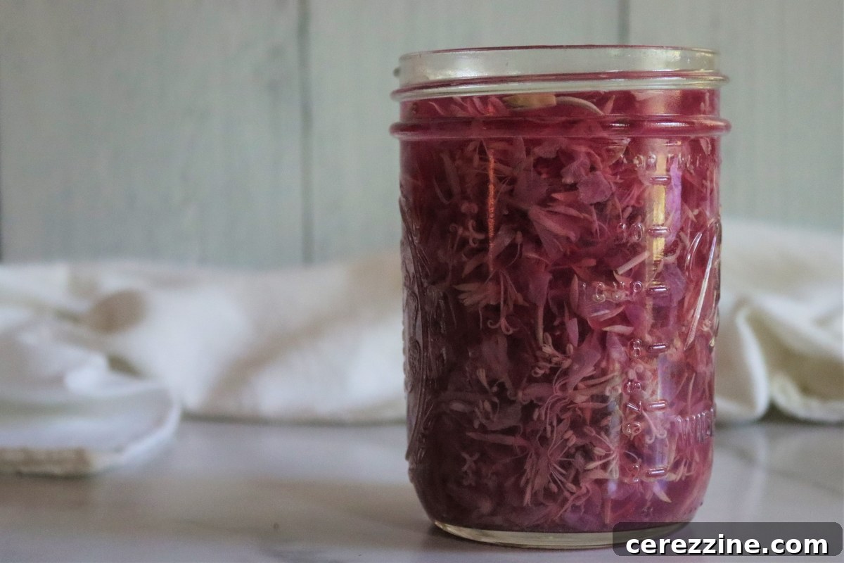 Wild Fireweed Jelly 6 Fireweed Tea Infusion