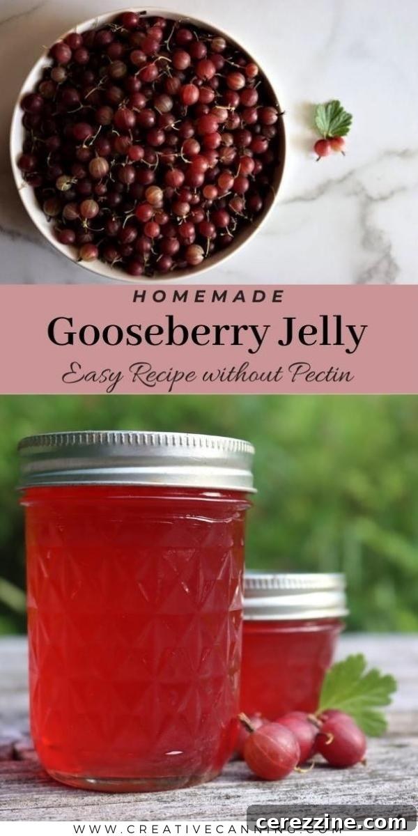Two jars of homemade gooseberry jelly, showcasing its beautiful color