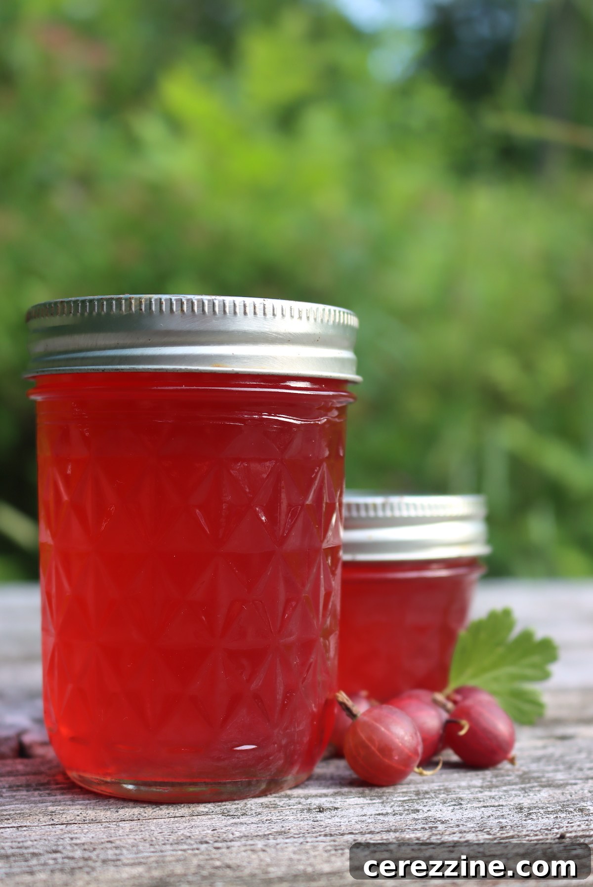 A close-up of vibrant pink gooseberry jelly in a jar