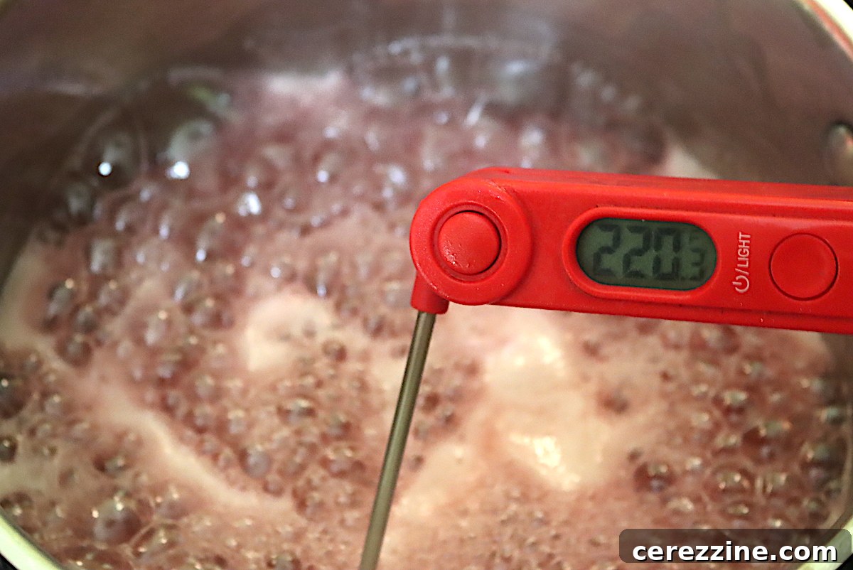 Gooseberry jelly boiling in a pot, reaching its set point