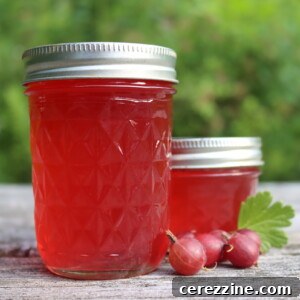 Gooseberry Jelly in a glass jar, ready to be enjoyed