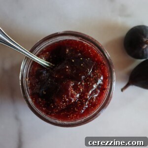 Homemade Fig Jam