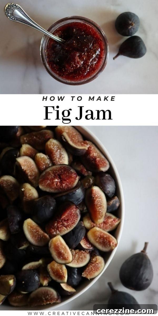 A jar of homemade fig jam with fresh figs on the side, ready to be enjoyed.