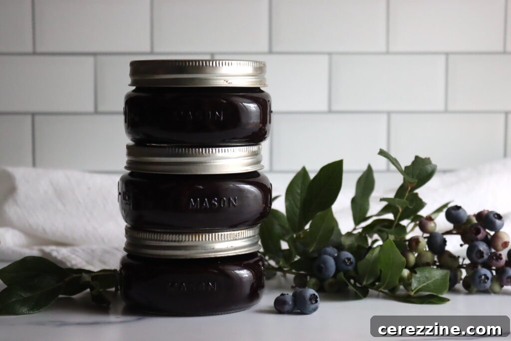 Homemade Fruit Butters: Apple, Pear, Peach and Beyond 13 Homemade Blueberry Butter in a jar.