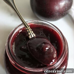 Homemade Fruit Butters: Apple, Pear, Peach and Beyond 20 Slow Cooker Plum Butter