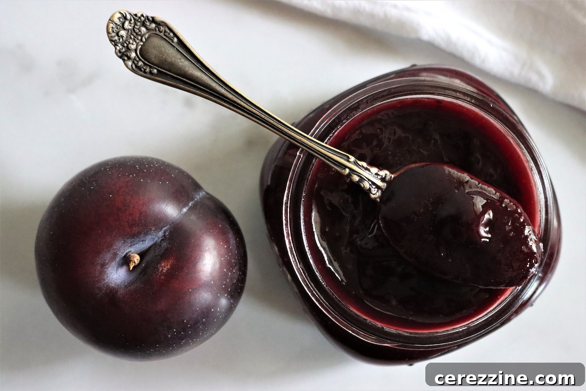 Homemade Fruit Butters: Apple, Pear, Peach and Beyond 4 Slow Cooker Plum Butter, rich and dark.