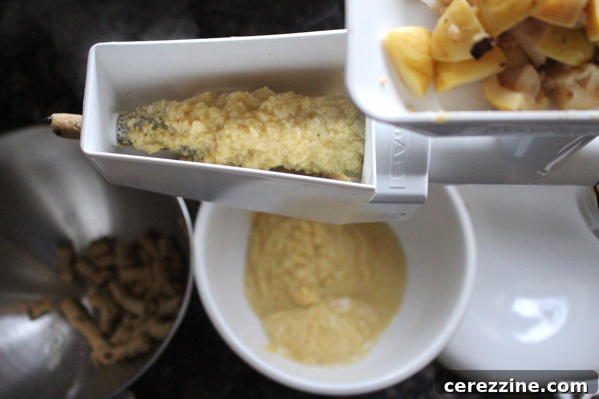Using a kitchenaid food strainer attachment to make guava butter