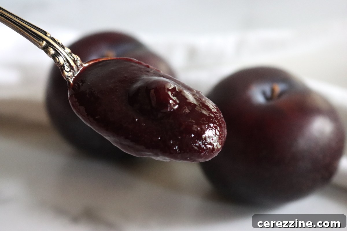 Slow Cooker Plum Butter