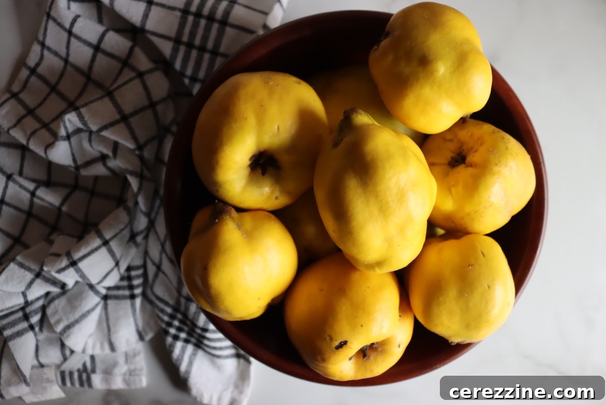 Quince Fruit - Close up of ripe quince ready for canning